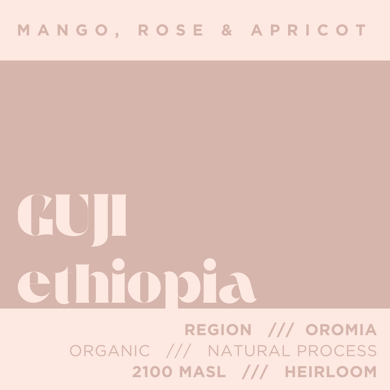 Ethiopia Guji- Organic