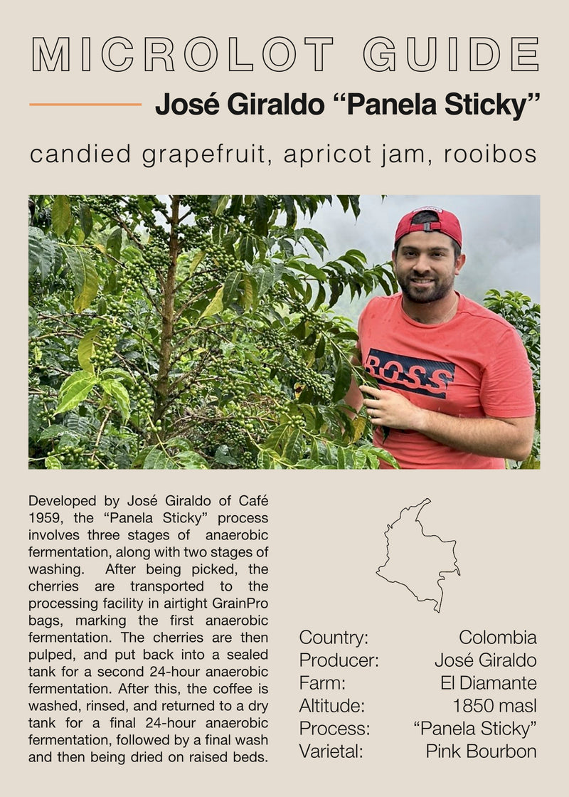 Jose Giraldo "Panela Sticky" Microlot